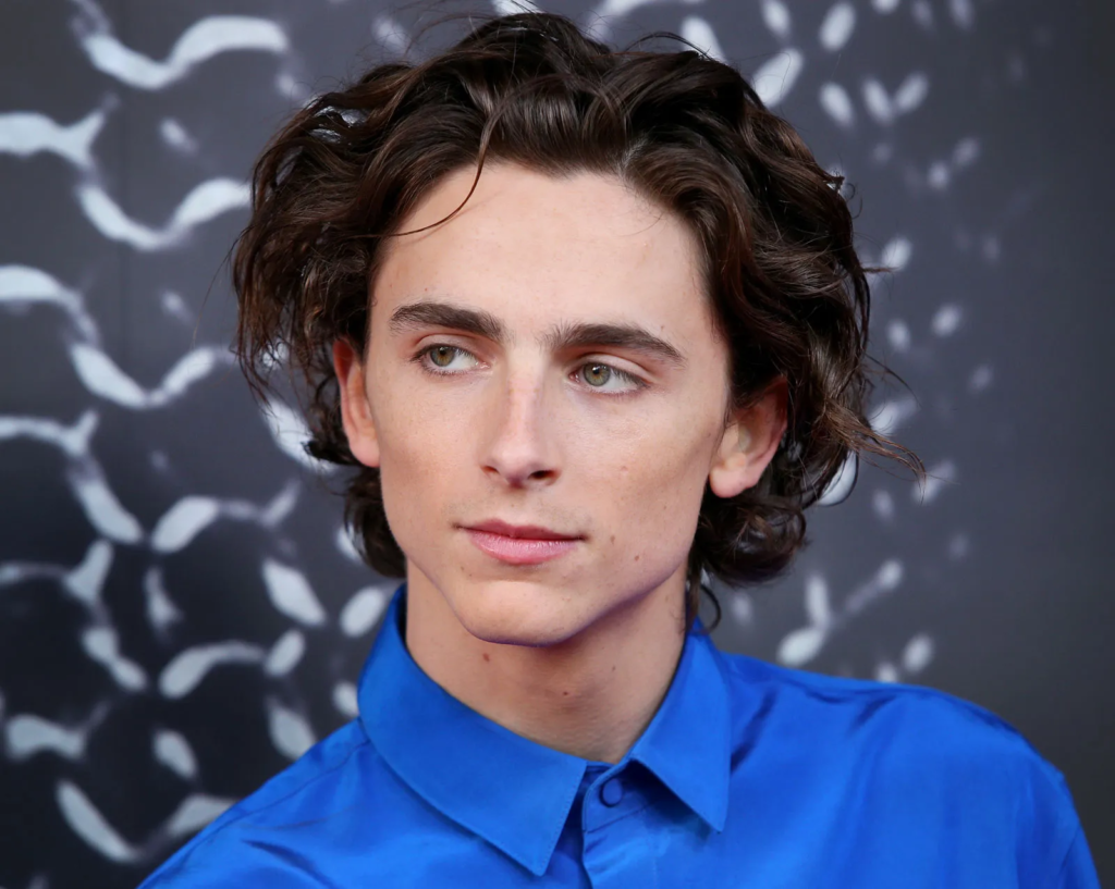 Timothée Chalamet Minimalist Fashion: The Look, The Logic, and How to Copy It for Under $400